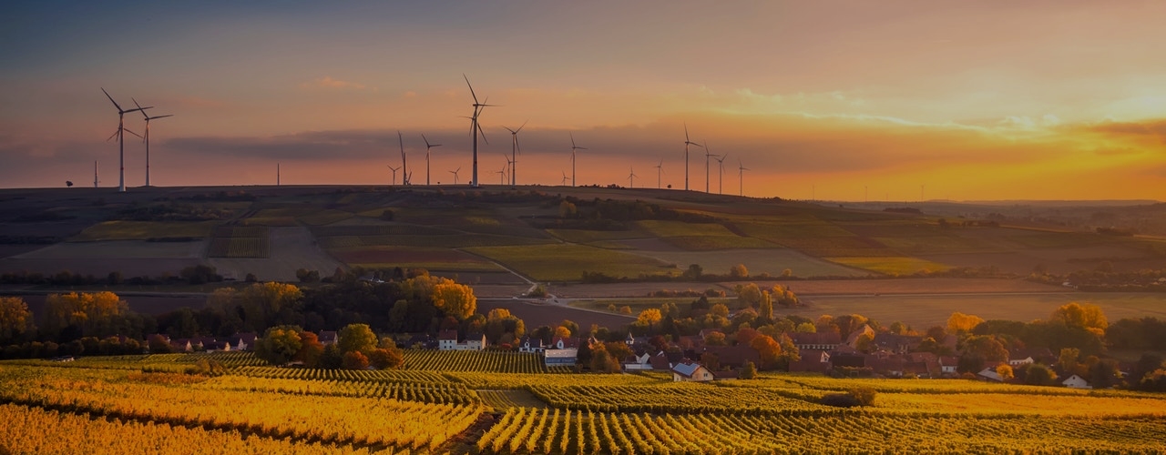 pexels dodo-phanthamaly-916406